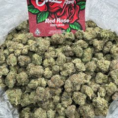 Red Rose Weed